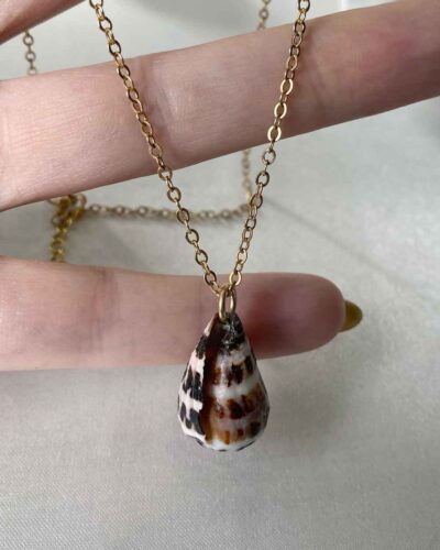 Hebrew Shell Necklace - 14K Gold Filled