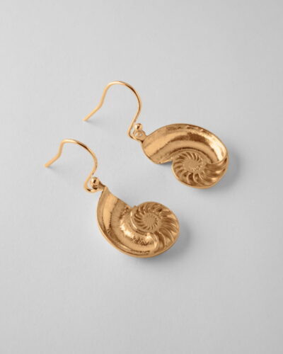 Nautilus Shell Earrings - 9ct Yellow Gold
