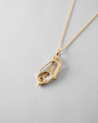 Sea Shell - 9ct Yellow Gold