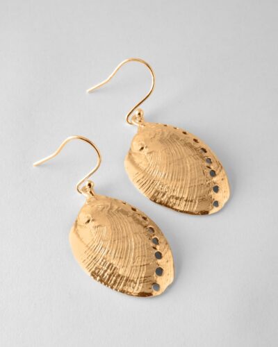 Paua Shell Earrings - 9ct Yellow Gold
