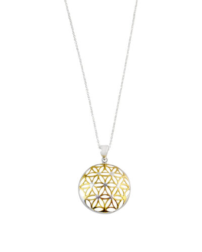 Flower Design Embellished Domed Pendant - Silver & Yellow Gold
