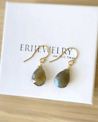 Labradorite Simple Drop Earrings - 14K Gold Filled