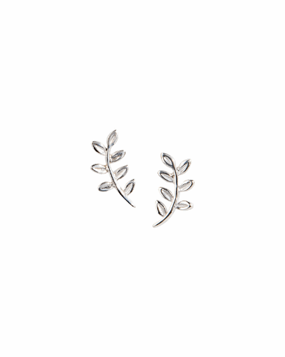 Victory Leaf Studs - Sterling Silver