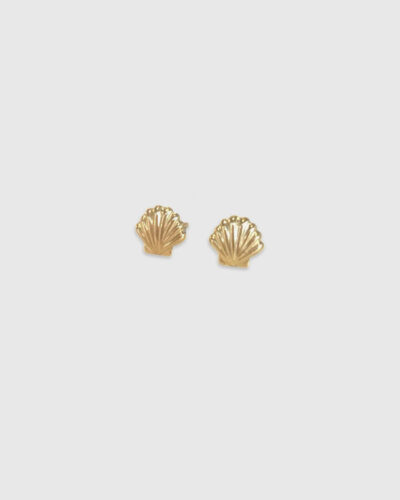 Shell Stud Earrings - 14K Gold Filled