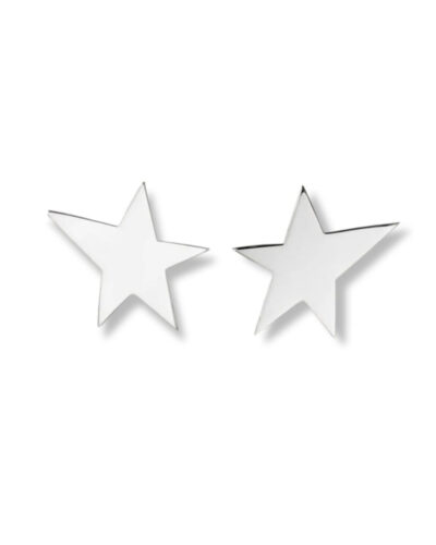 Starfish Earrings - Sterling Silver